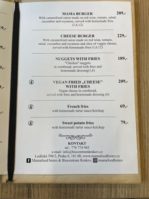 Main menu  at Mamafood in Prague