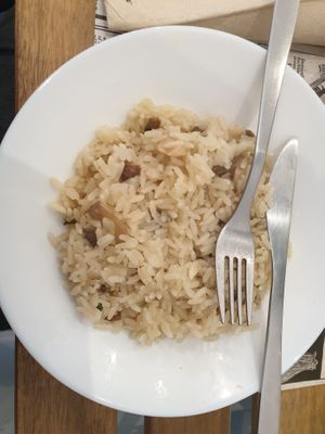  at Veggie Sue's in Salamanca