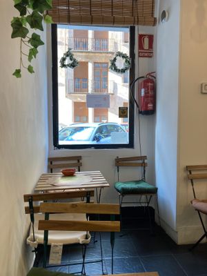  at Veggie Sue's in Salamanca