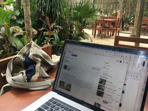 checking my Happy Cow site at the table waiting for my food at La Taqueria in Tulum