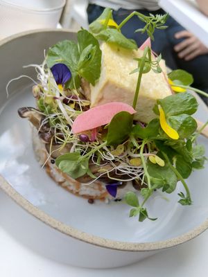 Bibimbap with simmered shiitake mushroom, assorted sprouts, vegs and grilled tofu at Picniq in Antwerpen