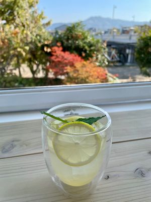 Lemonade with a view in the dog-OK area at Cafe Planet in Kyoto