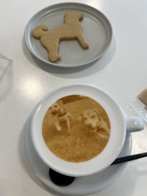   at Cafe Planet in Kyoto