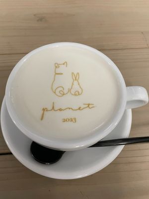  at Cafe Planet in Kyoto