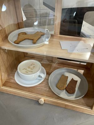  at Cafe Planet in Kyoto