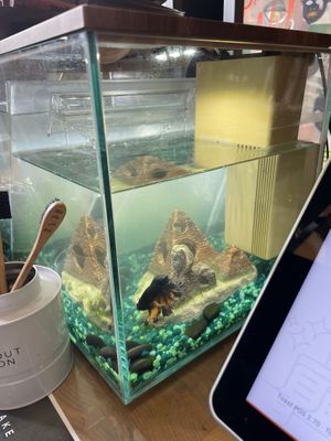   at LaRayia's Bodega in Atlanta