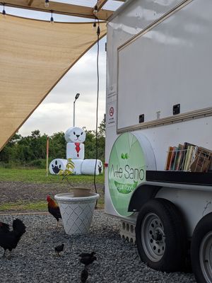 Chickens running around the food truck park. at Arte Sano in Aguadilla
