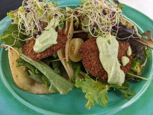 Falafel tacos. at Arte Sano in Aguadilla