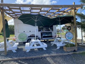   at Arte Sano in Aguadilla