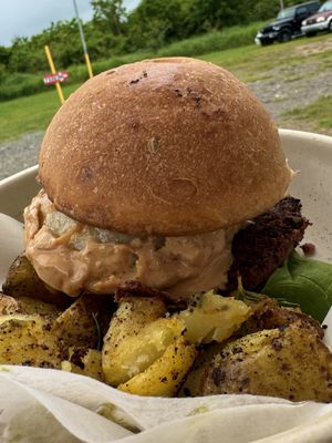   at Arte Sano in Aguadilla