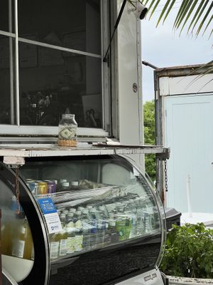   at Arte Sano in Aguadilla