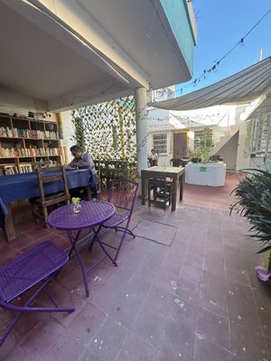   at El Vegache in Tampico