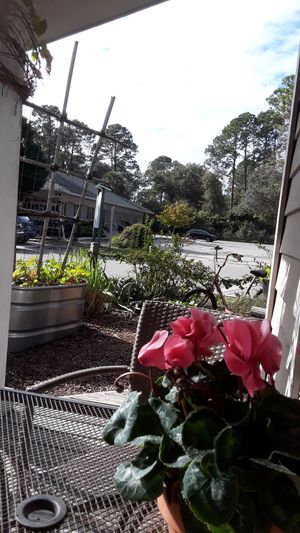 delisheeeyo patio at delisheeeYo in Hilton Head Island