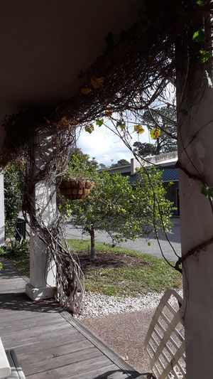 delisheeeyo patio at delisheeeYo in Hilton Head Island