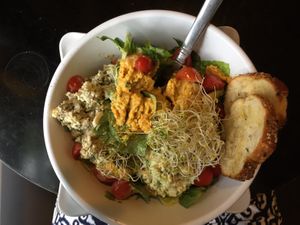 Super Salad Sampler... the best! at delisheeeYo in Hilton Head Island