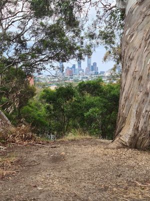 View near the cafe at Studley Grounds in Kew