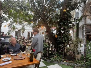  #Veganuary at Wine Garden in Fort Lauderdale