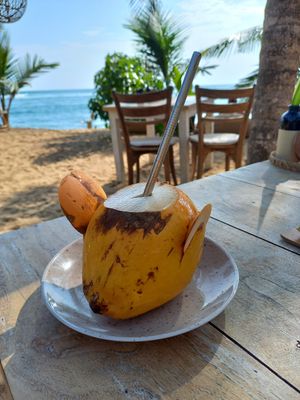 Cold yummy King Coconut at THE SLOW in Mirissa