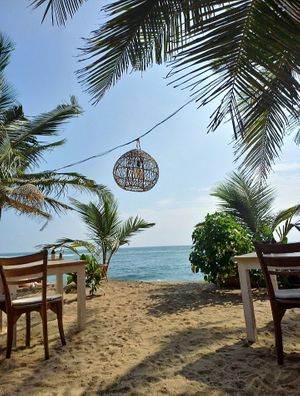 Beautiful location at the beach at THE SLOW in Mirissa