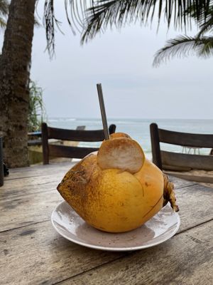   at THE SLOW in Mirissa