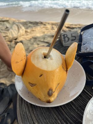Coconut   at THE SLOW in Mirissa
