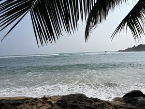 View   at THE SLOW in Mirissa