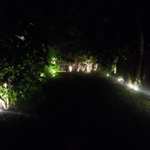 Entrance at THE SLOW in Mirissa