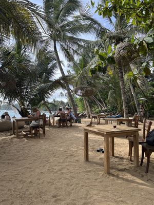   at THE SLOW in Mirissa