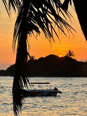   at THE SLOW in Mirissa