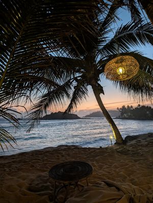  at The Slow in Mirissa