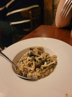 Pretty decent mushroom risotto. at Ziryab in Barcelona