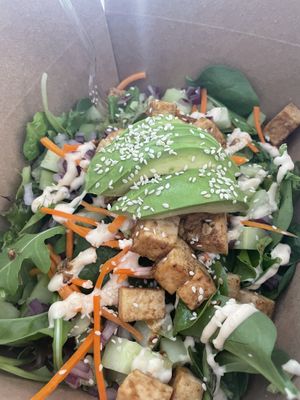 Sexy Teriyaki Tofu Salad  at FAM's Cuisine in Sarasota