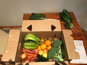  at Real Food Grocer in Melbourne