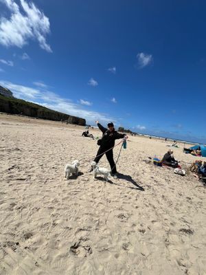 Hundred percent dog friendly beach at The Watering Hole in Perranporth