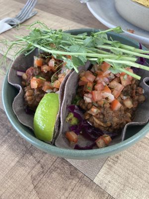   at Little Parliament in Rainbow Beach