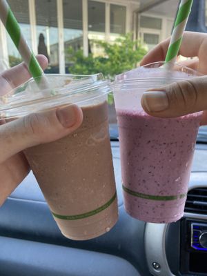   at Little Parliament in Rainbow Beach