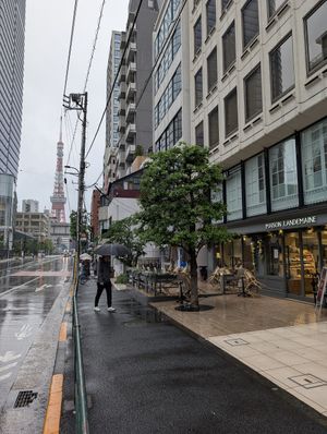 Tokyo Tower in the back at Maison Landemaine in Tokyo