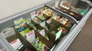 MorningStar and Just Egg at Corner Market/Bookstore in Calhoun