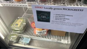Micro Greens with FREE samples at Corner Market/Bookstore in Calhoun