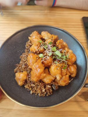  at TOFU Girona in Girona