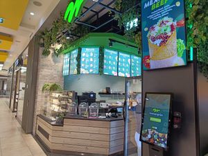  at immergrün in Karlsruhe