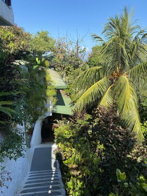  at Casa Geraldo in Quepos