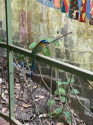   at Casa Geraldo in Quepos