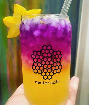 Magic Citrine Lemonade at Nector Cafe in Hilo