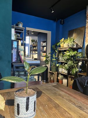   at White Pine - Seven Dials in London