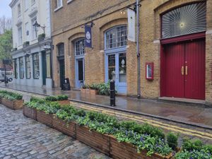  at White Pine - Seven Dials in London