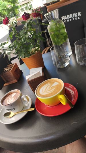 With oat milk at Fabrika Coffee in Sarajevo