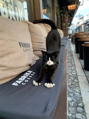 very welcomingg  at Fabrika Coffee in Sarajevo