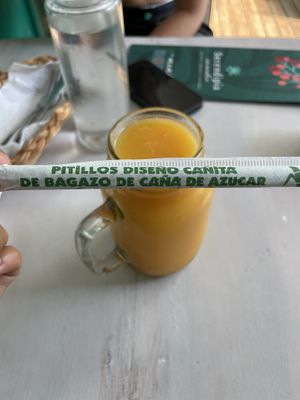   at Serendipia Encuentro in Salento