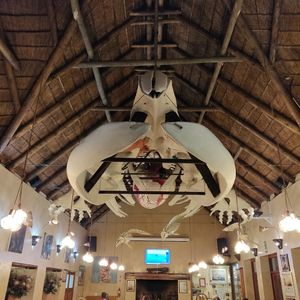  at The Great White House in Gansbaai